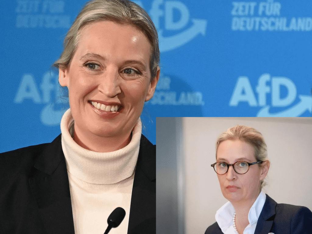 Rechtes Ohr Alice Weidel Ohrprothese – Fakten und Analyse Rechtes Ohr Alice Weidel Ohrprothese